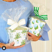 Load image into Gallery viewer, Cachepot Candle - Lemon Tree