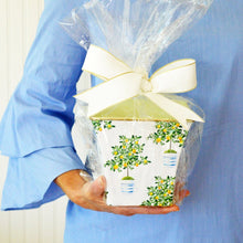 Load image into Gallery viewer, Cachepot Candle - Lemon Tree